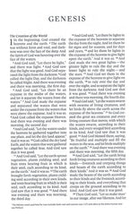 ESV Large Print Value Thinline Bible (TruTone, Mahogany, Border Design)