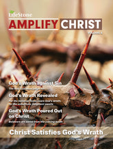 Amplify Christ Volume 6