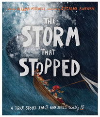 THE STORM THAT STOPPED