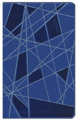 NIV Premium Gift Youth Bible