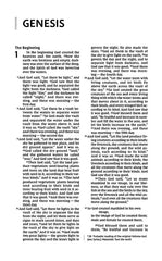 NIV Thinline Zondervan Bible