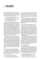 NIV Compact Thinline Bible, Comfort Print