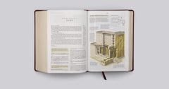 ESV Study Bible, Large Print (TruTone, Walnut, Celtic Imprint)