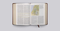 ESV Study Bible, Large Print (TruTone, Walnut, Celtic Imprint)