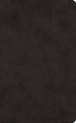 ESV Pocket Bible (Trutone, Black)