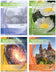 files/AL-WI-25-26_SUBCOMBO.jpg