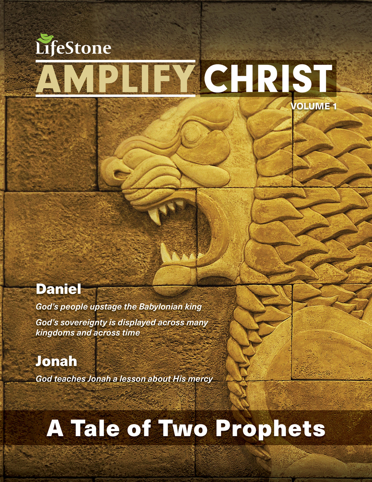 Amplify Christ Volume 1