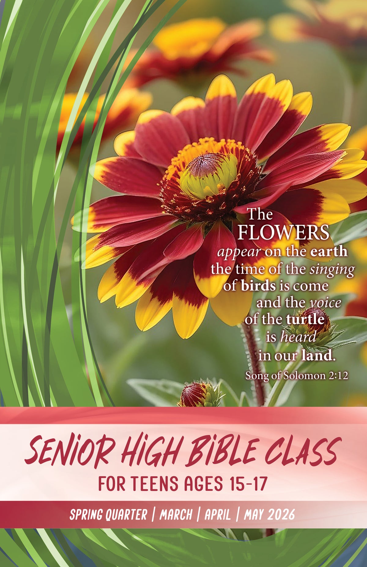Senior High Bible CLASS SPRING Quarter 2026