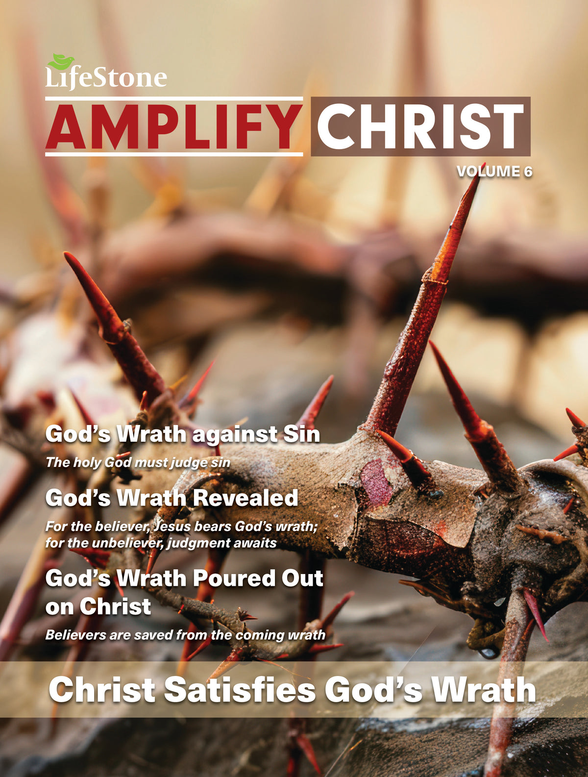 Amplify Christ Volume 6