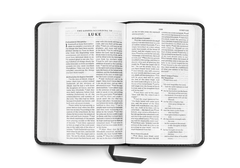 ESV Pocket Bible (Trutone, Black)