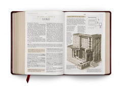 ESV Study Bible, Large Print (TruTone, Mahogany, Trellis Design)