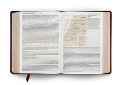 ESV Study Bible, Large Print (TruTone, Mahogany, Trellis Design)